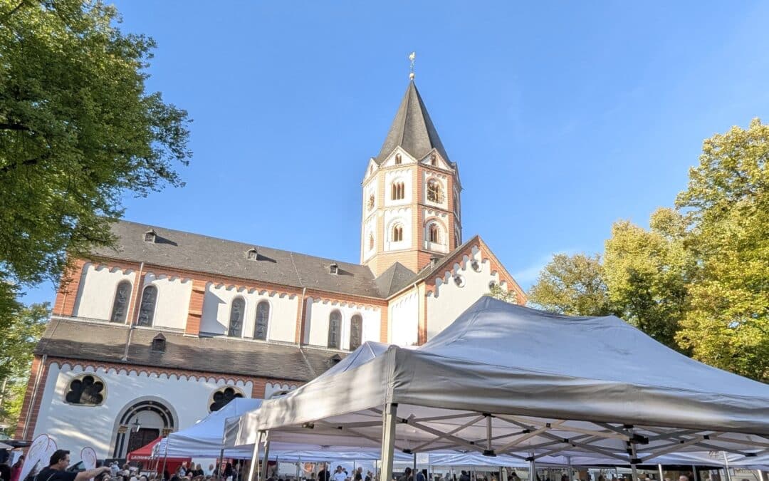 Rück­blick Wein­herbst 2025